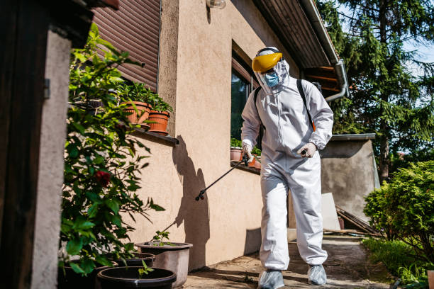 Wasp Removal Services in East Stroudsburg, PA