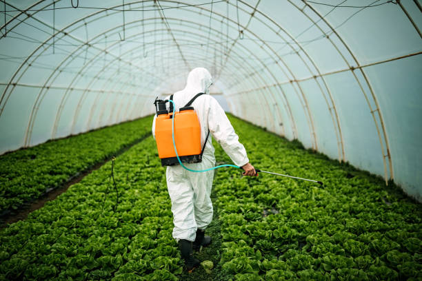 Best Pest Inspection Near Me  in East Stroudsburg, PA