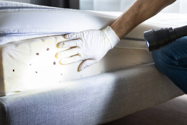 Best Mosquito Control Services  in East Stroudsburg, PA