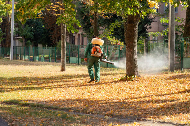 Best Mosquito Control Services  in East Stroudsburg, PA