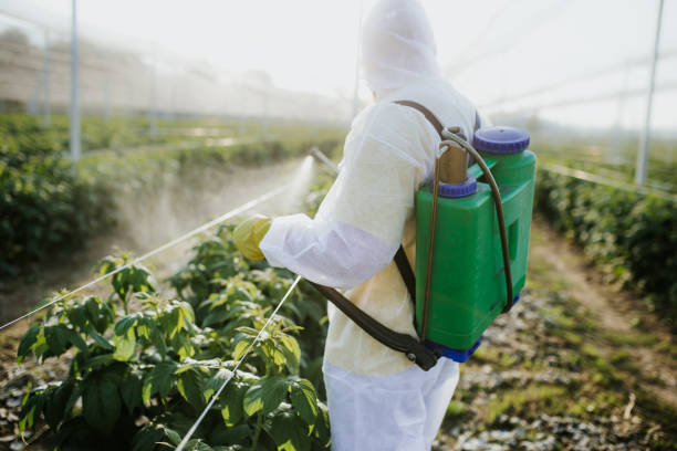East Stroudsburg, PA Pest Control Company